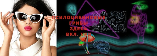 бошки Корсаков