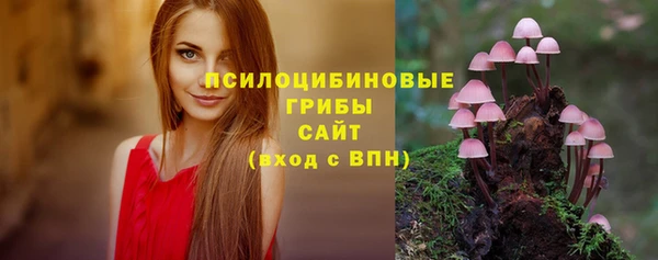 мет Коряжма
