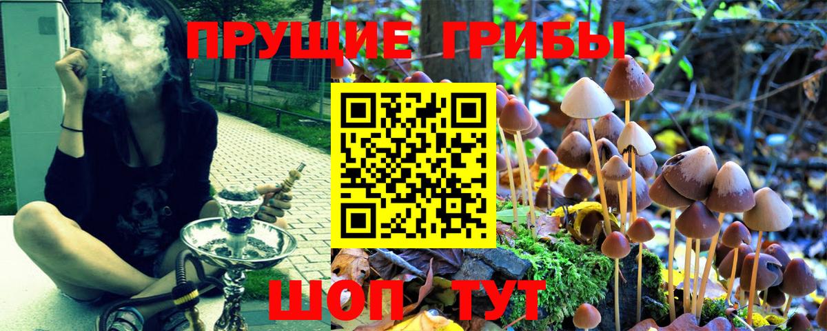 Балашиха  Галлюциногенные грибы мицелий  Вход с VPN 